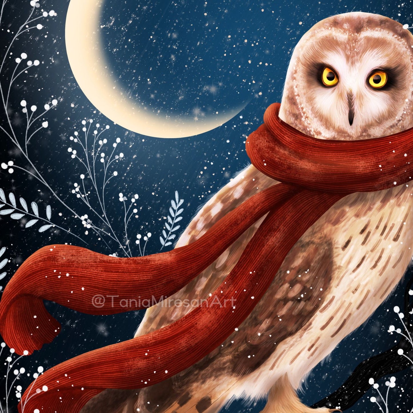 Winter Owl Fine Art Print