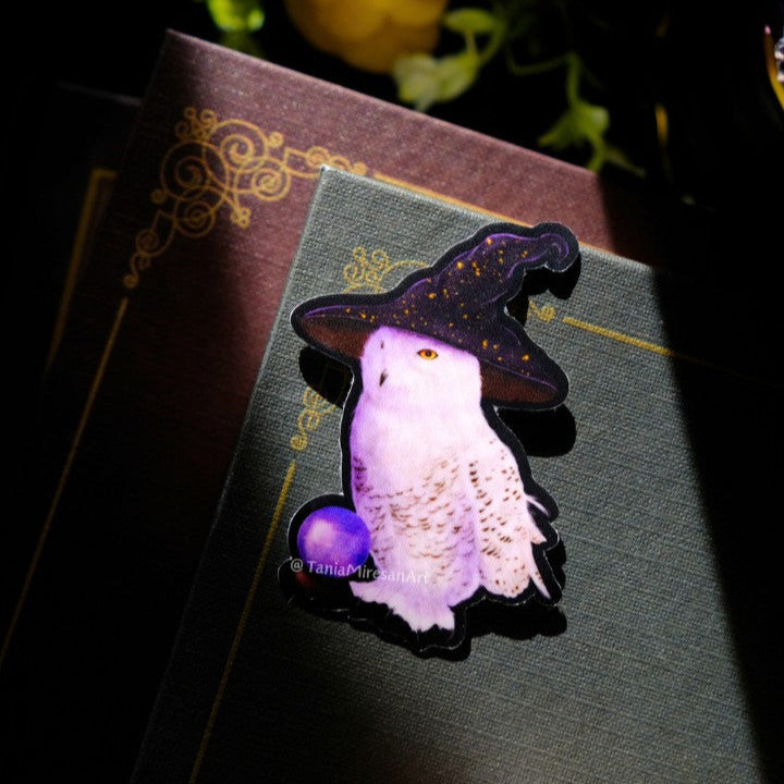 Witchy Owl Sticker