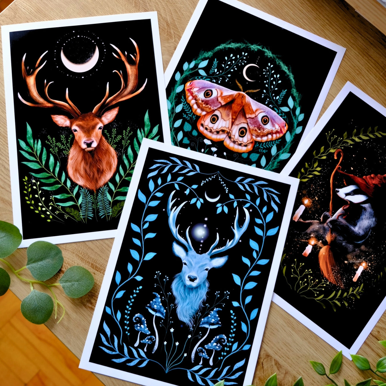 Limited Editions Prints