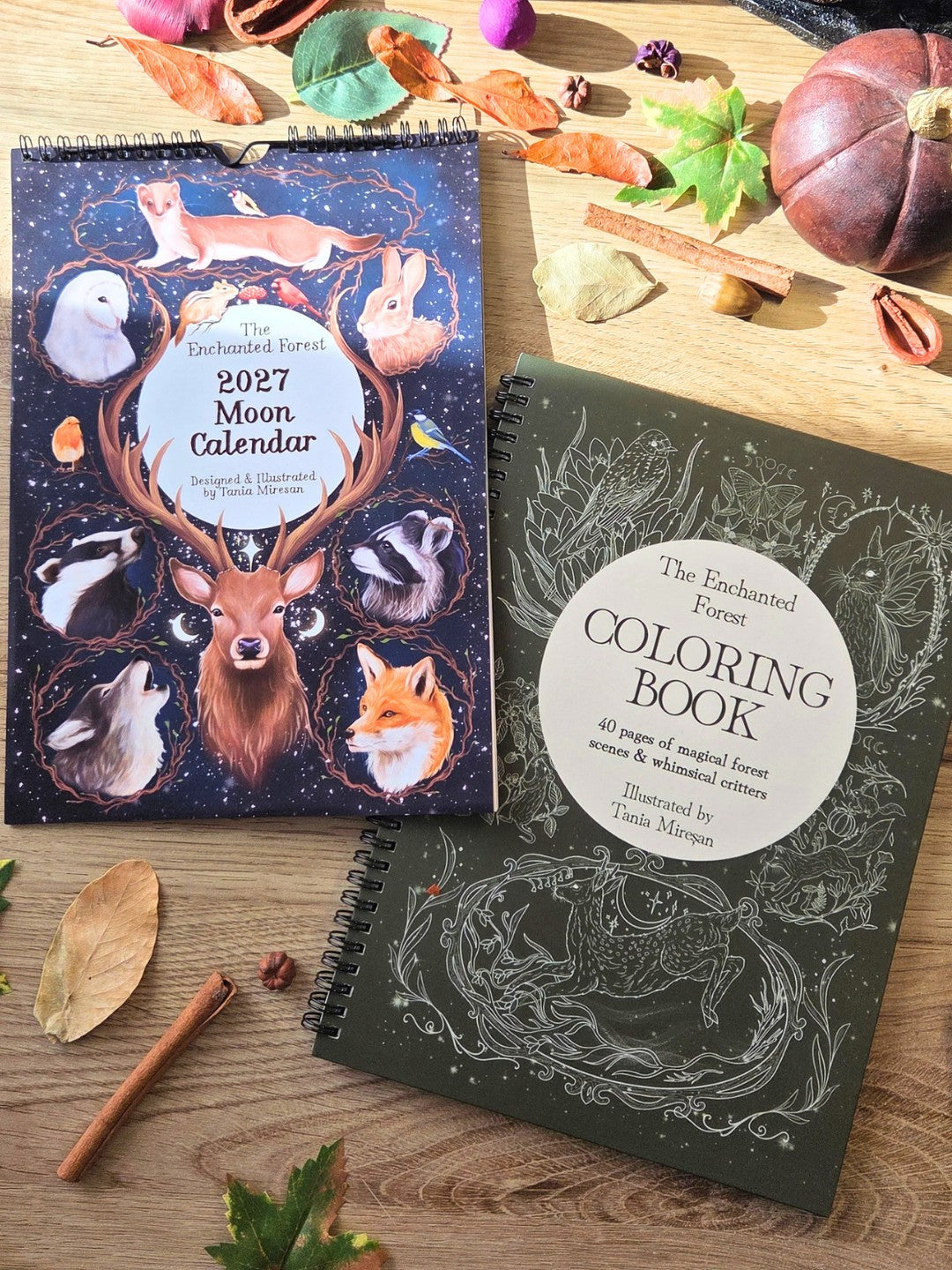 Gift Box 2027 Calendar + Coloring Book