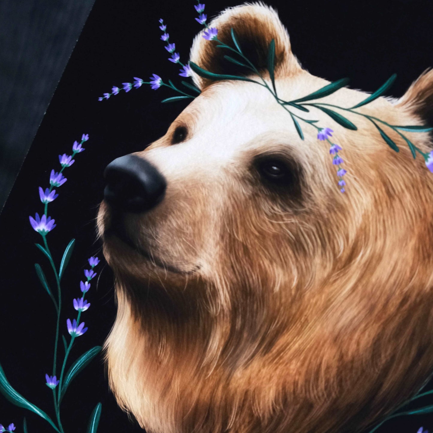 Bear and Lavender Fine Art Print