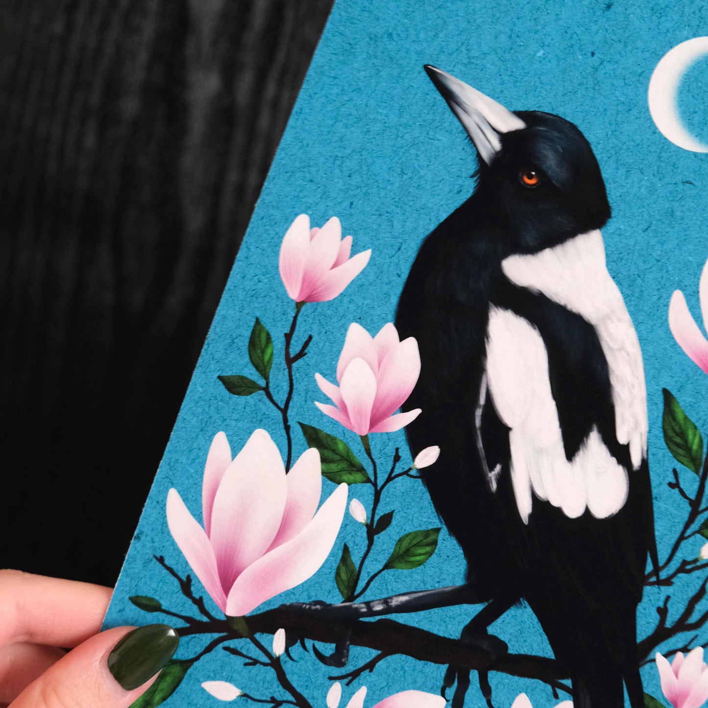 Magpie and Magnolias Fine Art Print