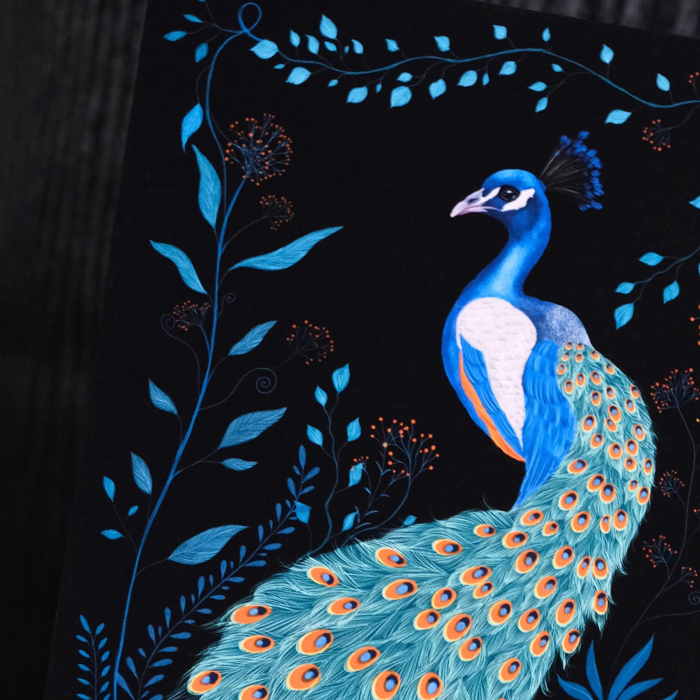 Peacock Fine Art Print