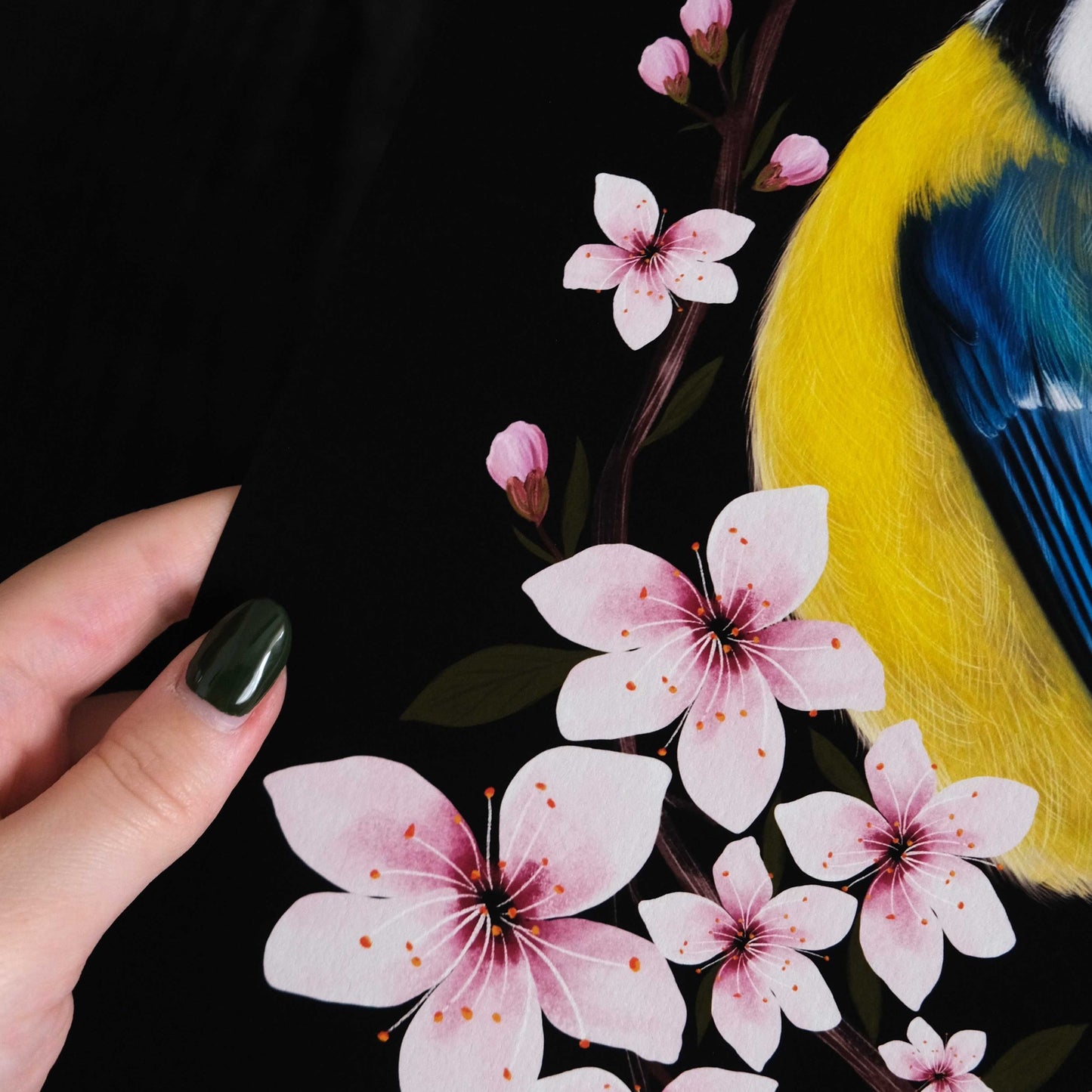 Blue Tit and Cherry Blossom Fine Art Print