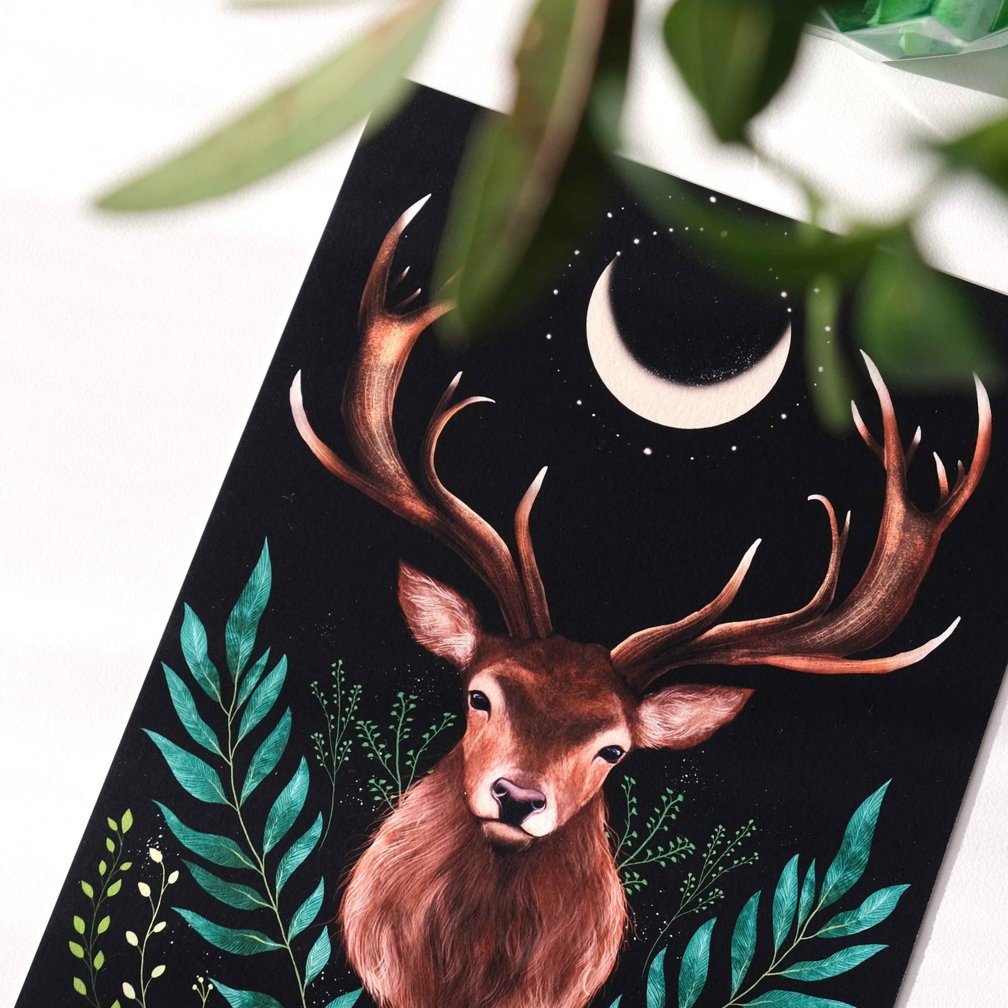 Stag Fine Art Print