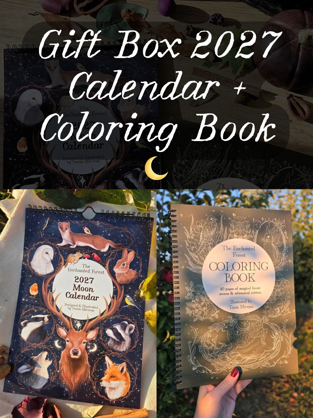 Gift Box 2027 Calendar + Coloring Book