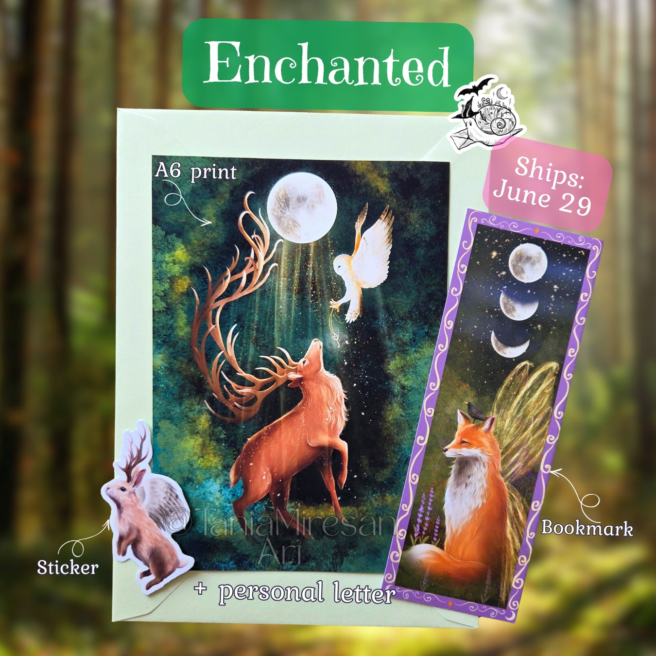 The Enchanted Mail Club - Monthly Art Subscription