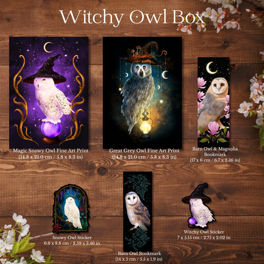 Witchy Owl Box
