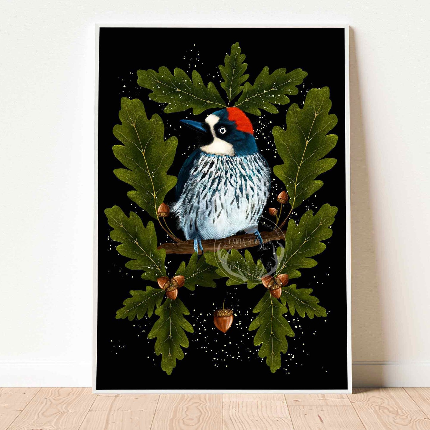 Acorn Woodpecker Fine Art Print