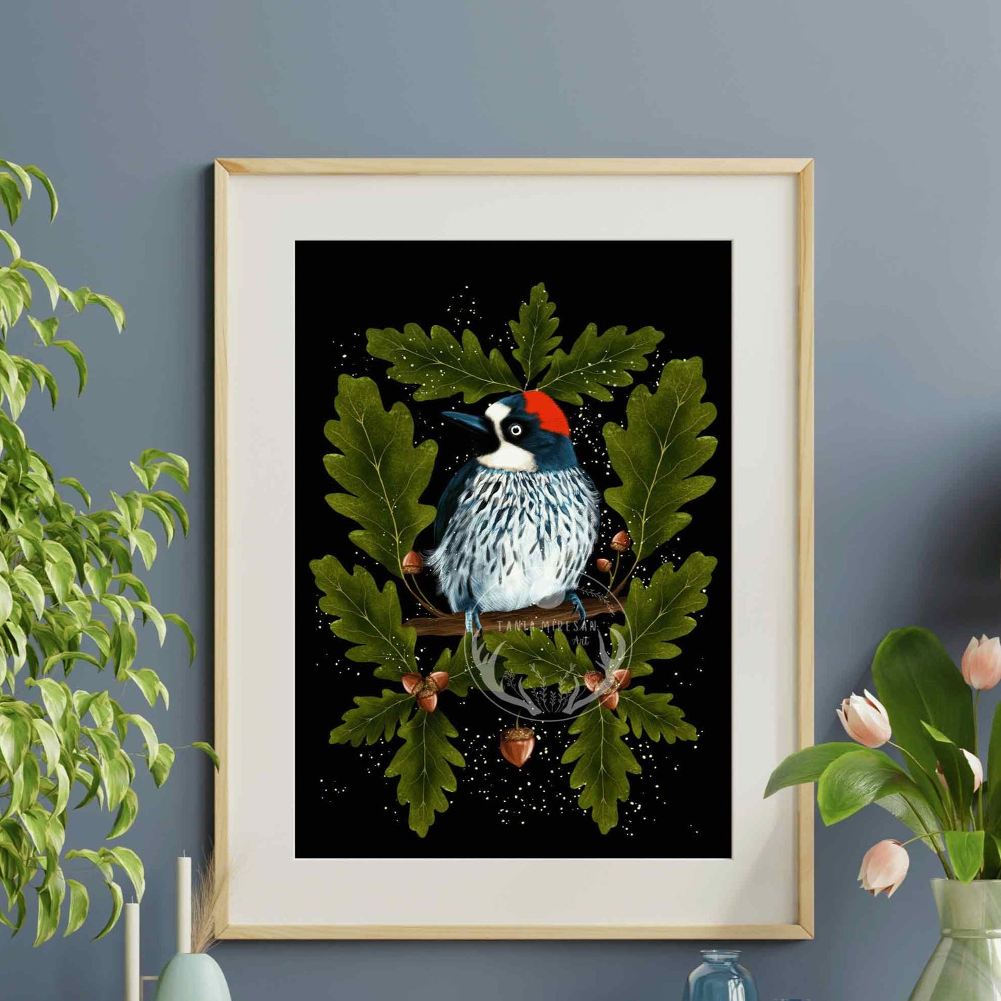 Acorn Woodpecker Fine Art Print