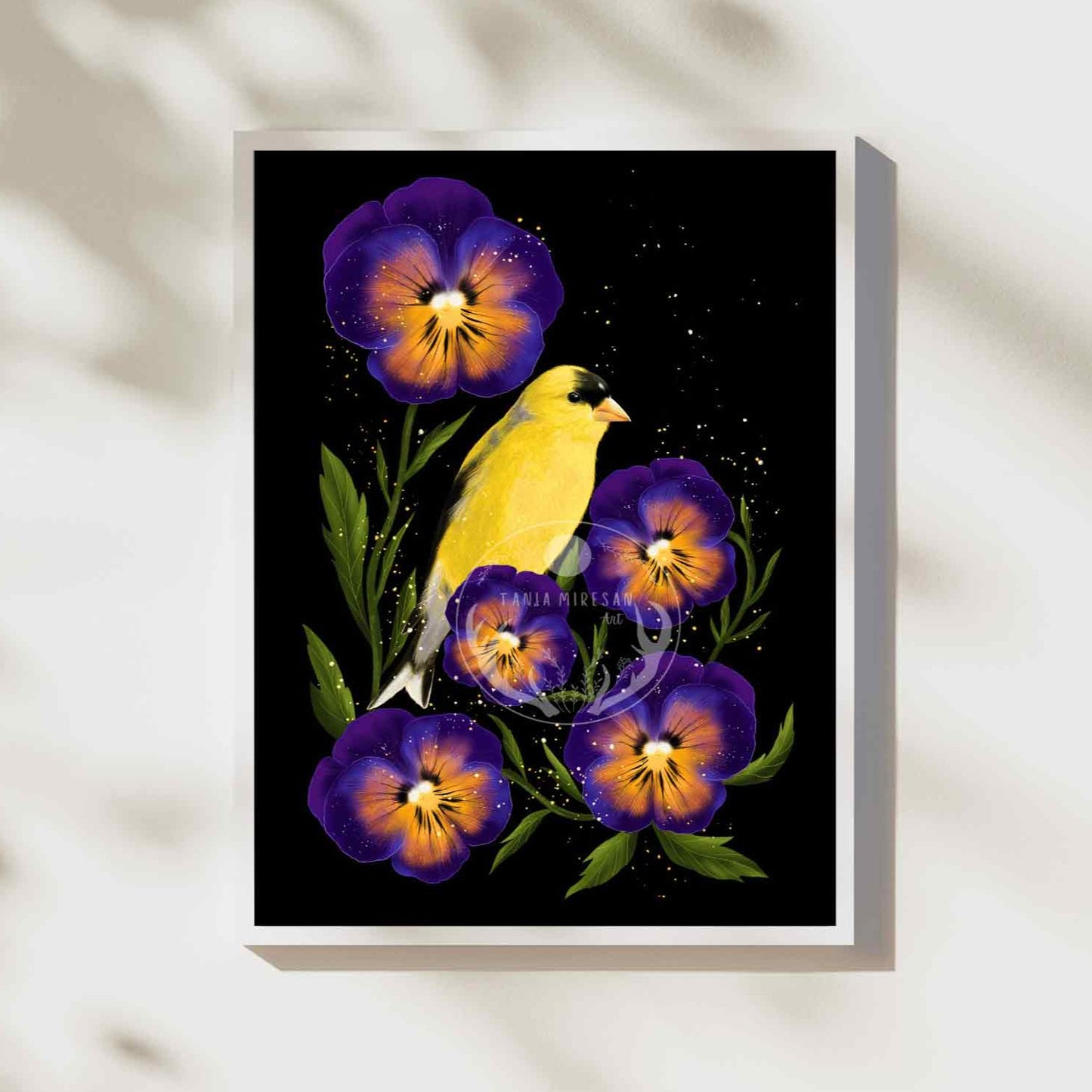 American Goldfinch Fine Art Print