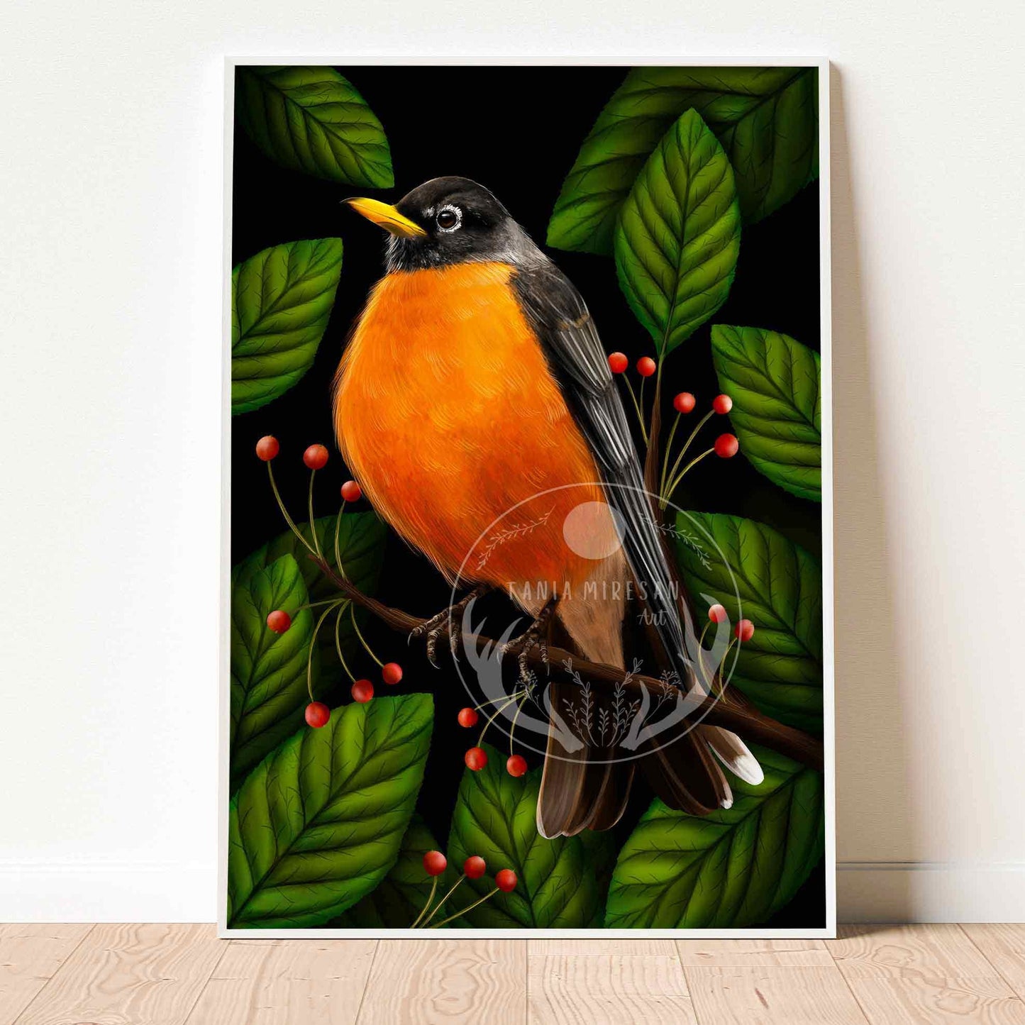 American Robin Fine Art Print