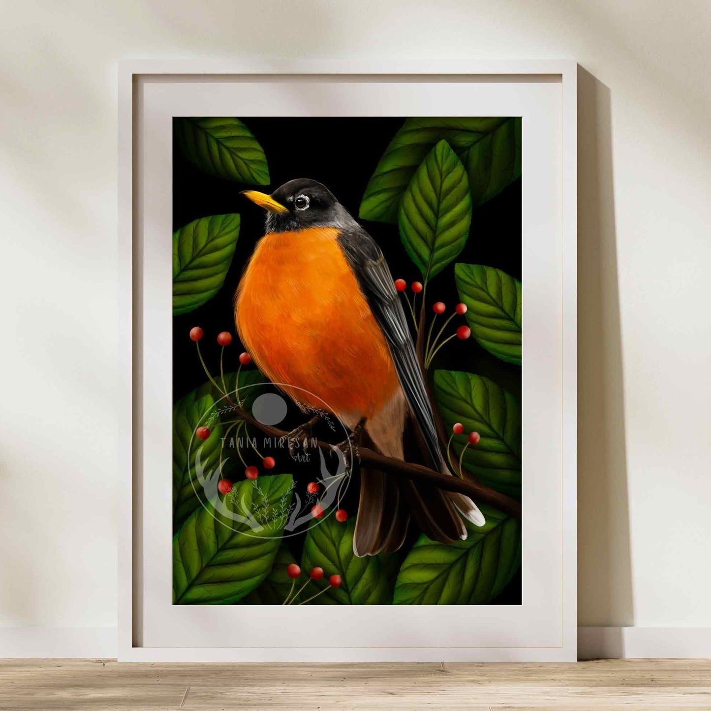 American Robin Fine Art Print