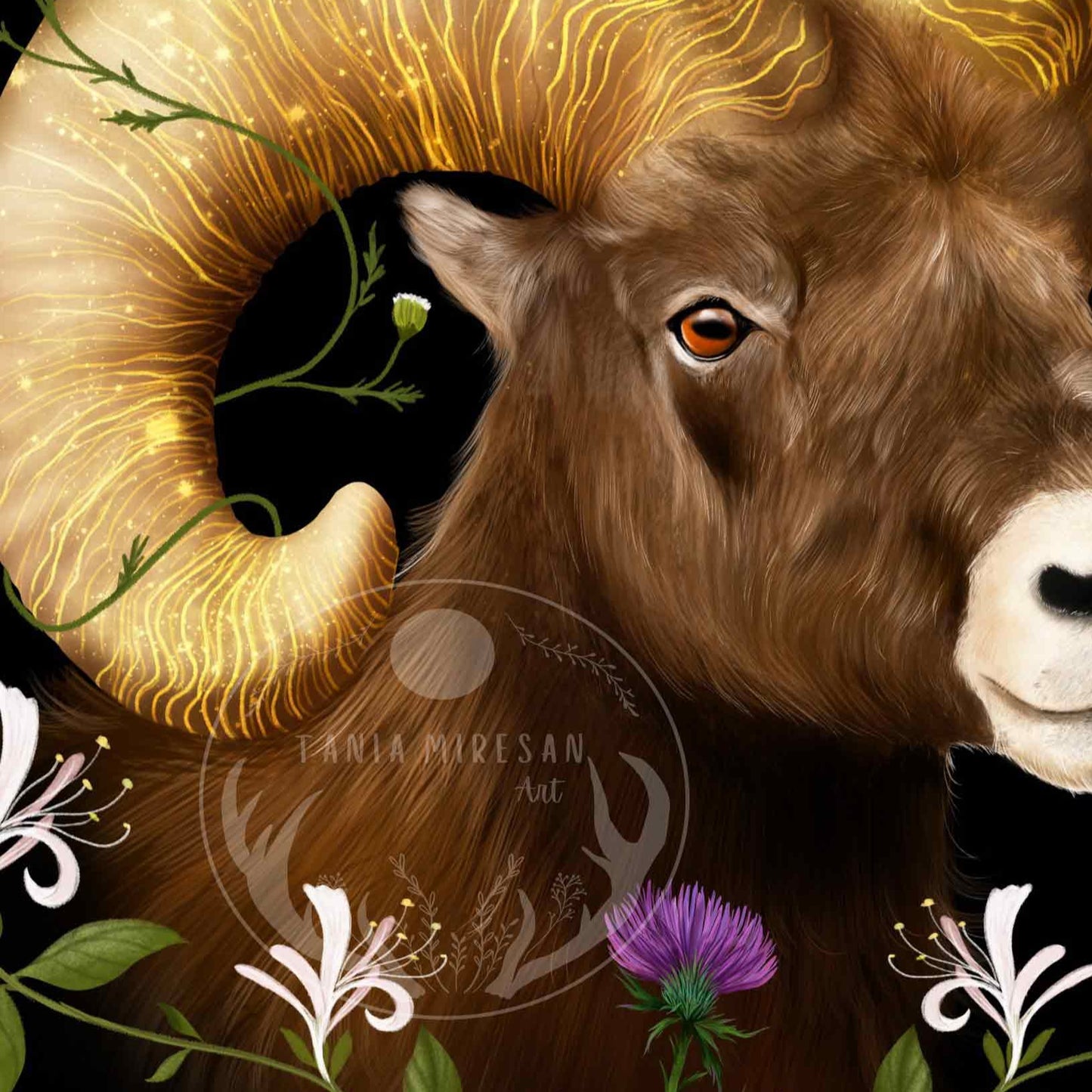 Aries Fine Art Print