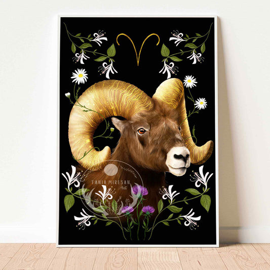 Aries Fine Art Print