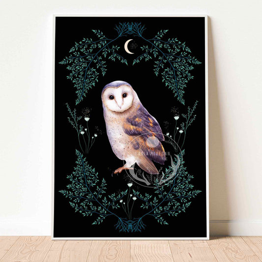 Barn Owl Fine Art Print