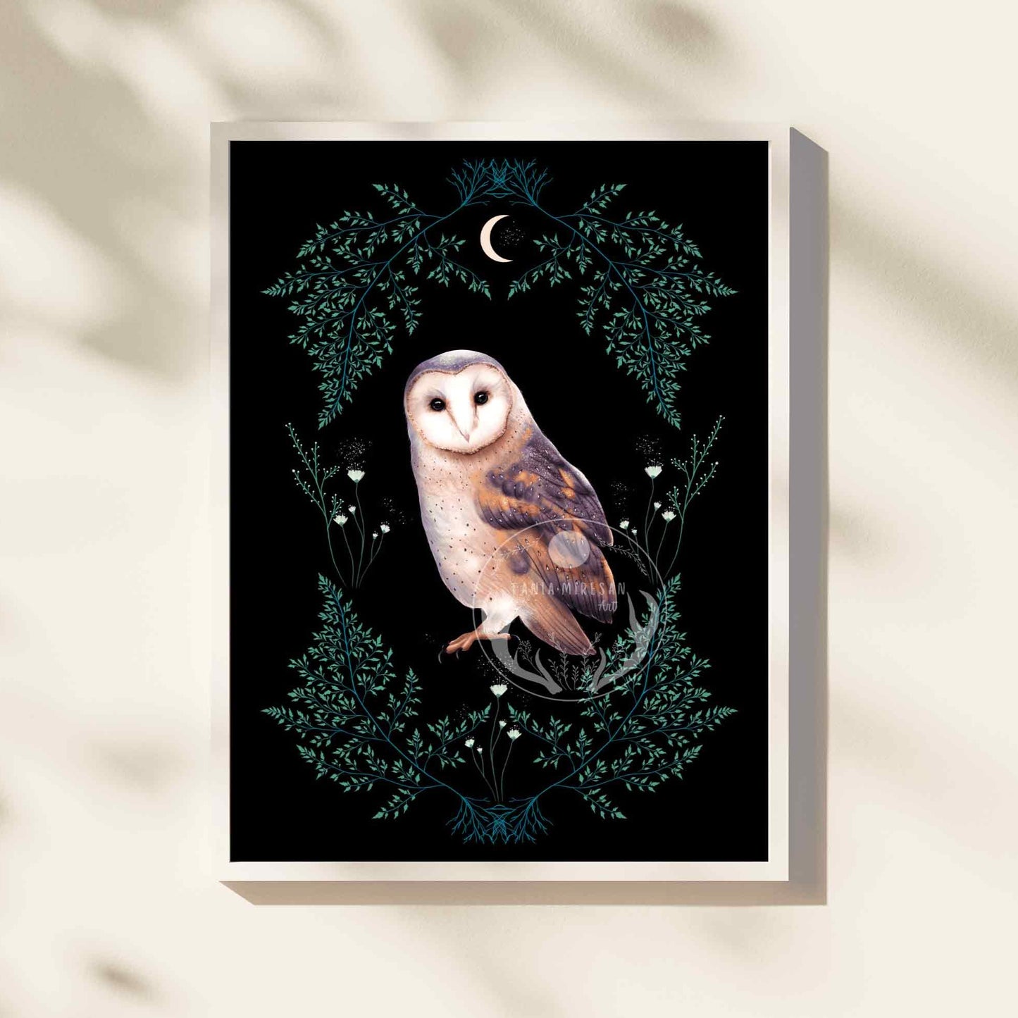 Barn Owl Fine Art Print