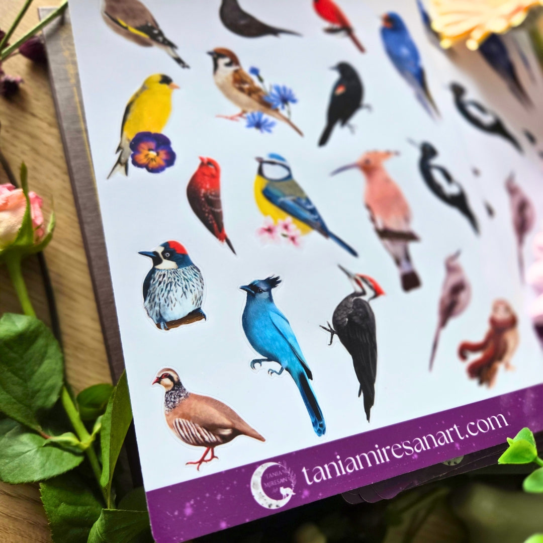 Bird Lover Sticker Sheet