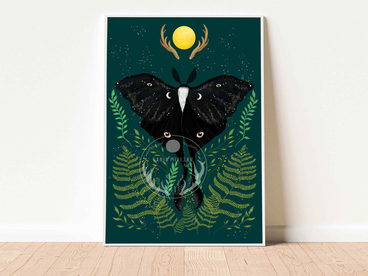 Black Luna Moth Fine Art Print