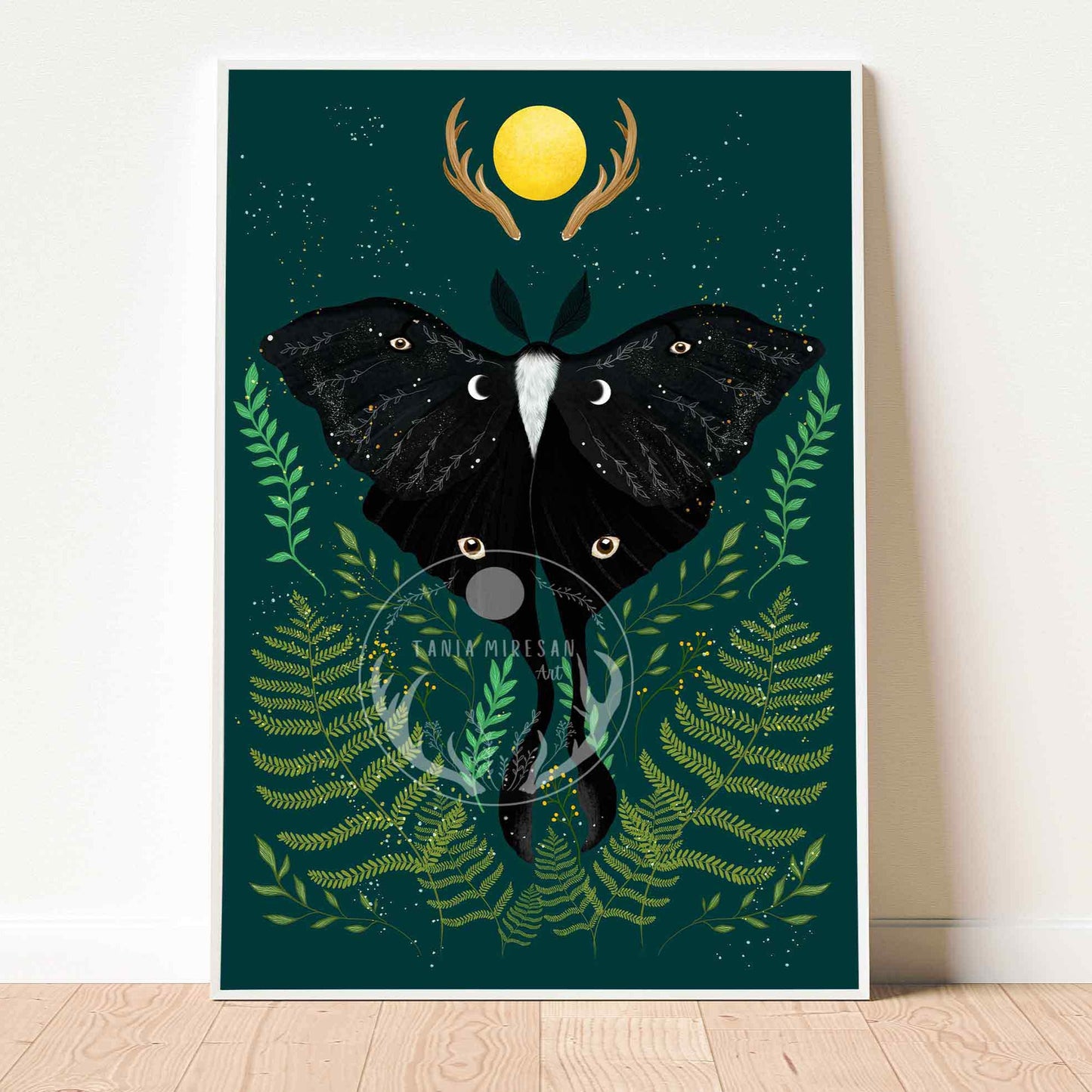 Black Luna Moth Fine Art Print