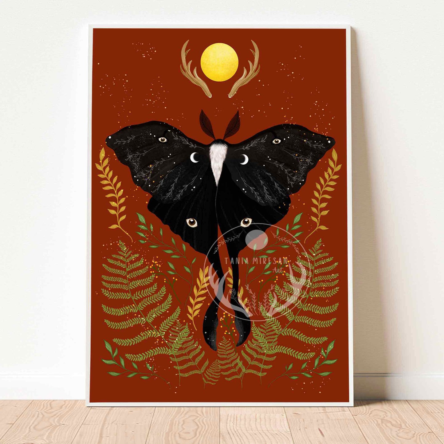 Black Luna Moth Fine Art Print