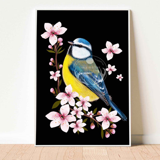 Blue Tit and Cherry Blossom Fine Art Print