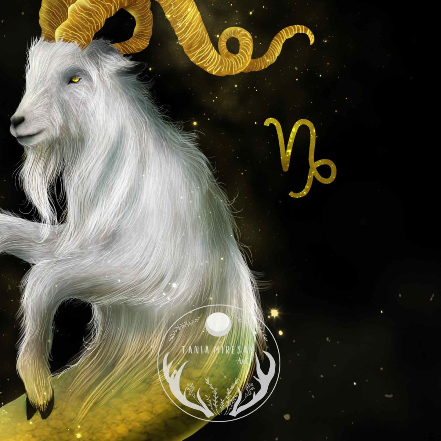 Capricorn Fine Art Print