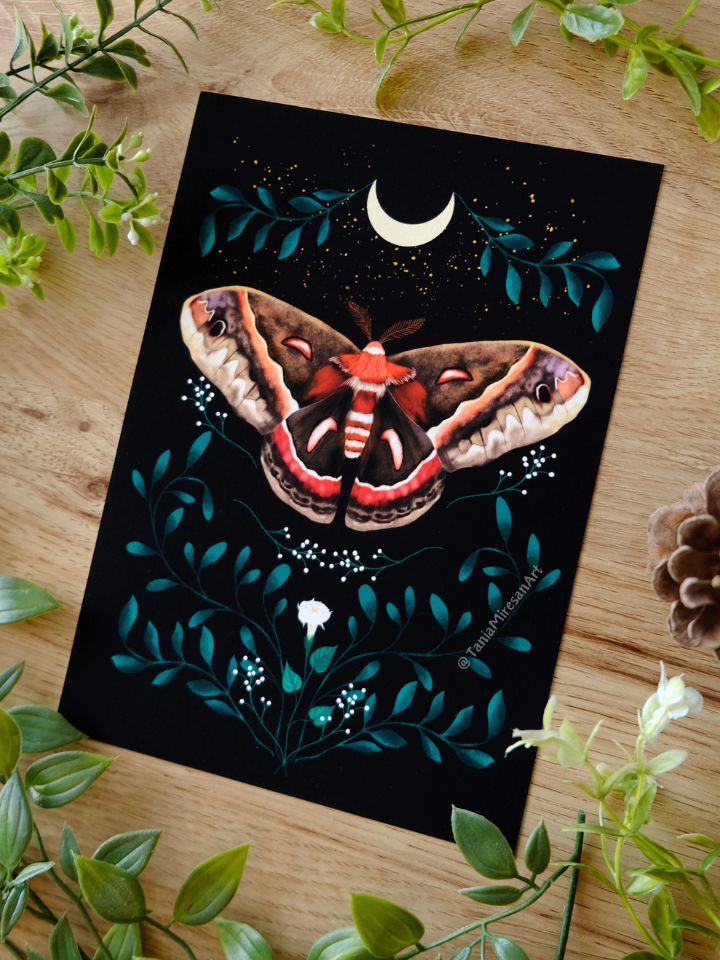 Cecropia Moth Fine Art Print