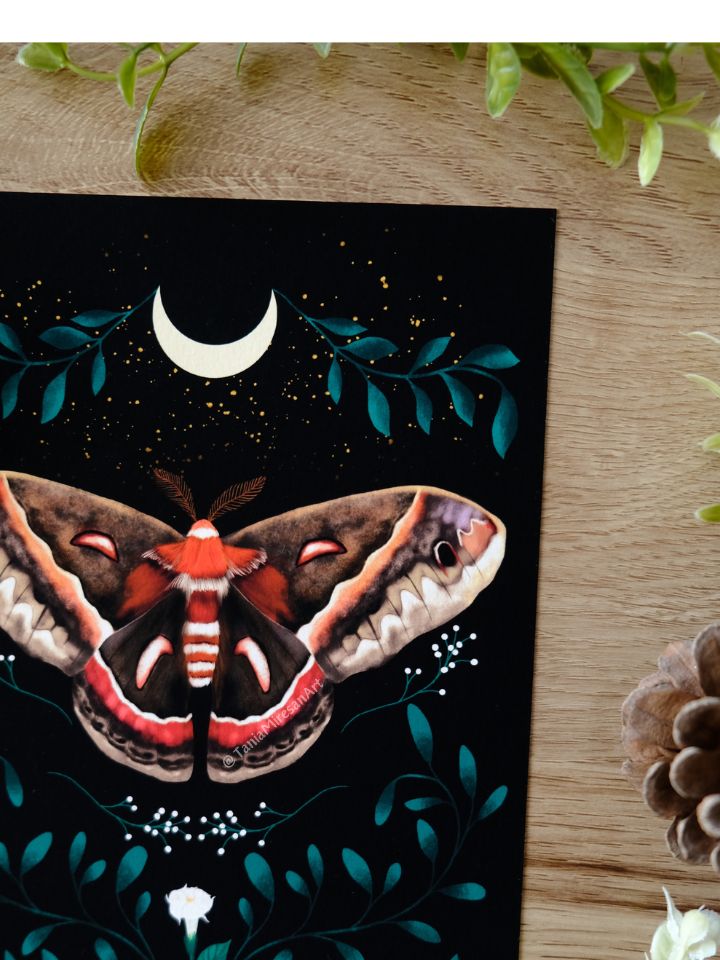 Cecropia Moth Fine Art Print