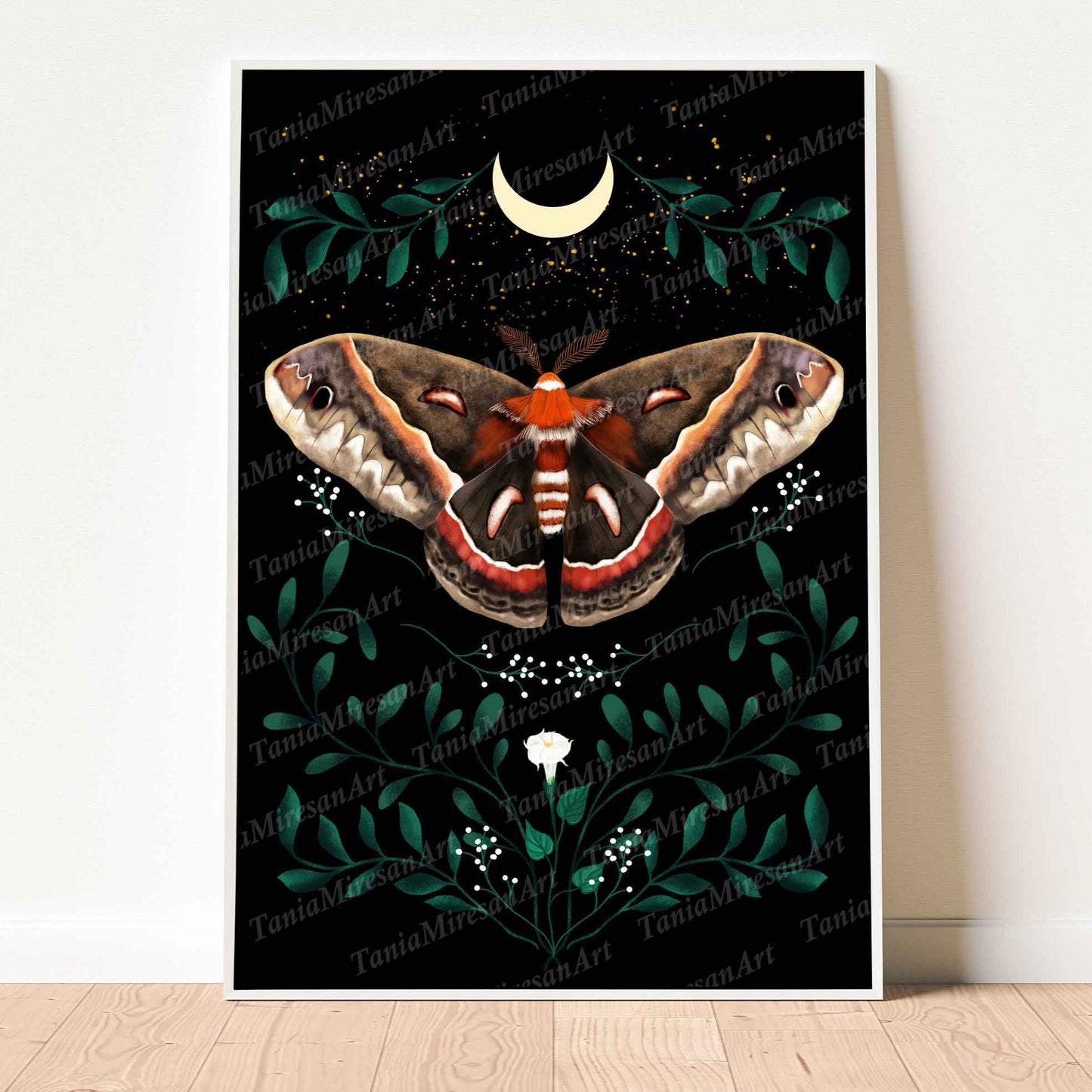 Cecropia Moth Fine Art Print