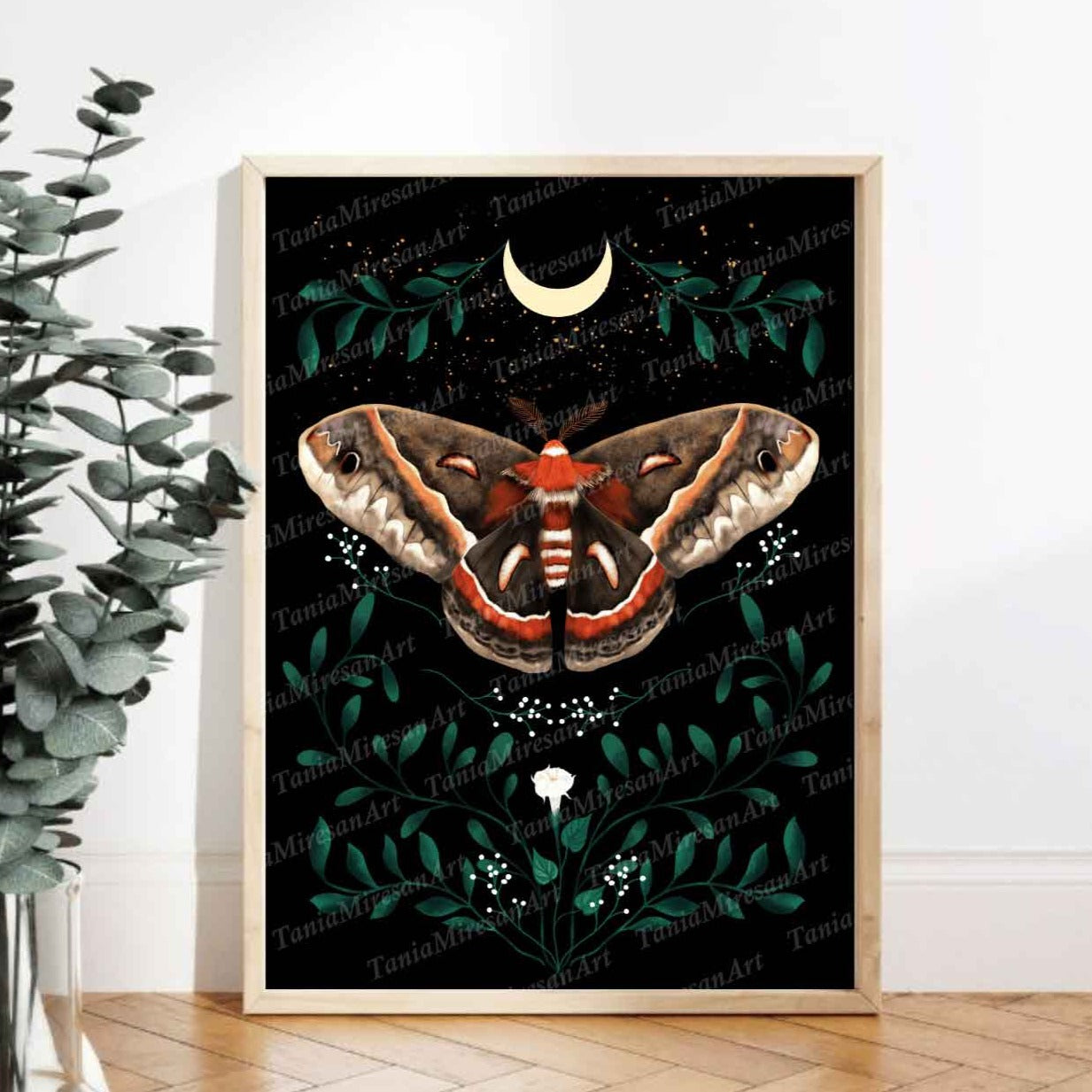 Cecropia Moth Fine Art Print