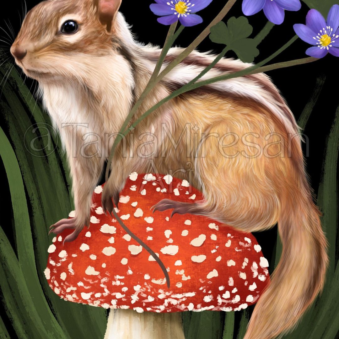 Chipmunk & Amanita Fine Art Print