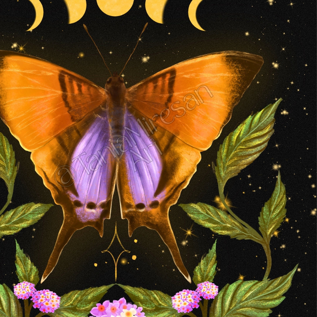 Daggerwing Butterfly Fine Art Print