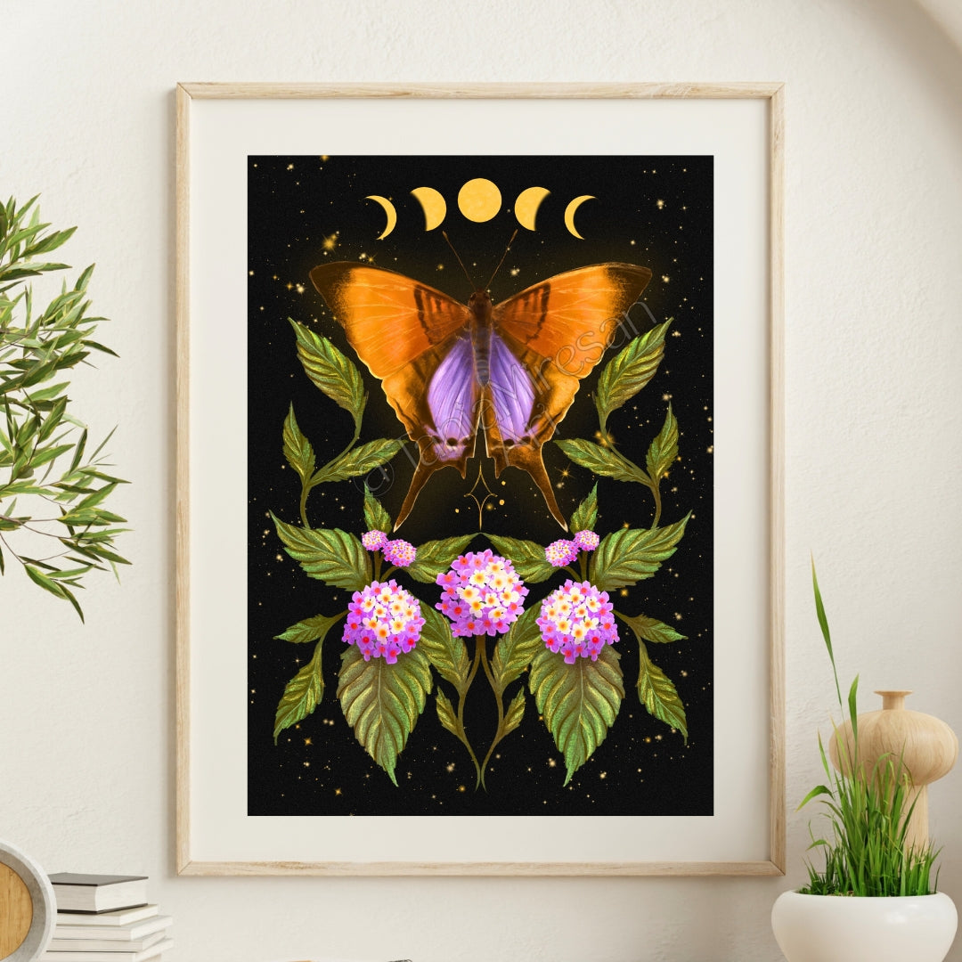 Daggerwing Butterfly Fine Art Print