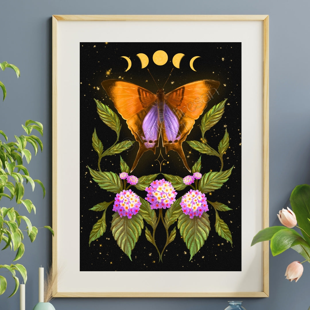 Daggerwing Butterfly Fine Art Print