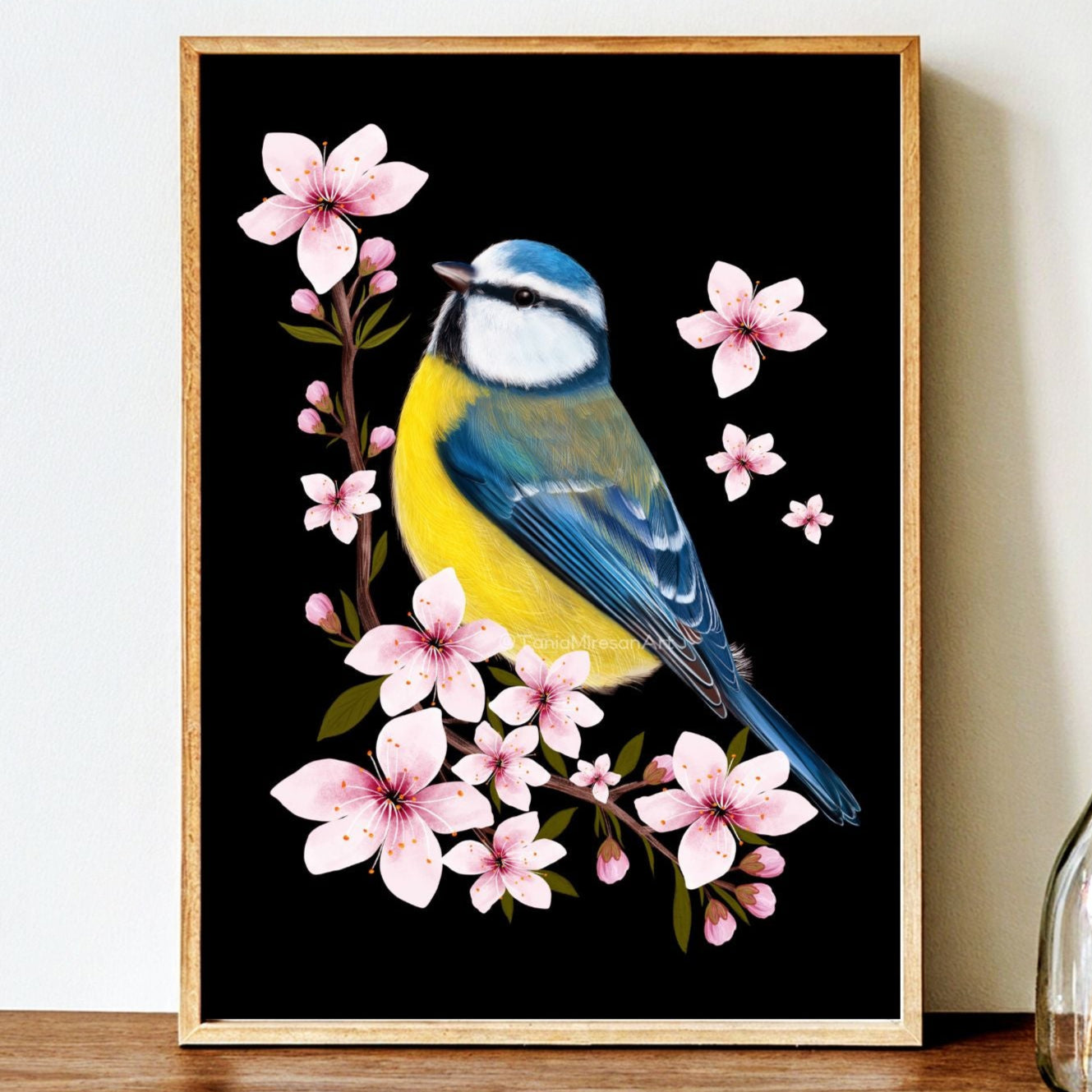 Blue Tit and Cherry Blossom Fine Art Print