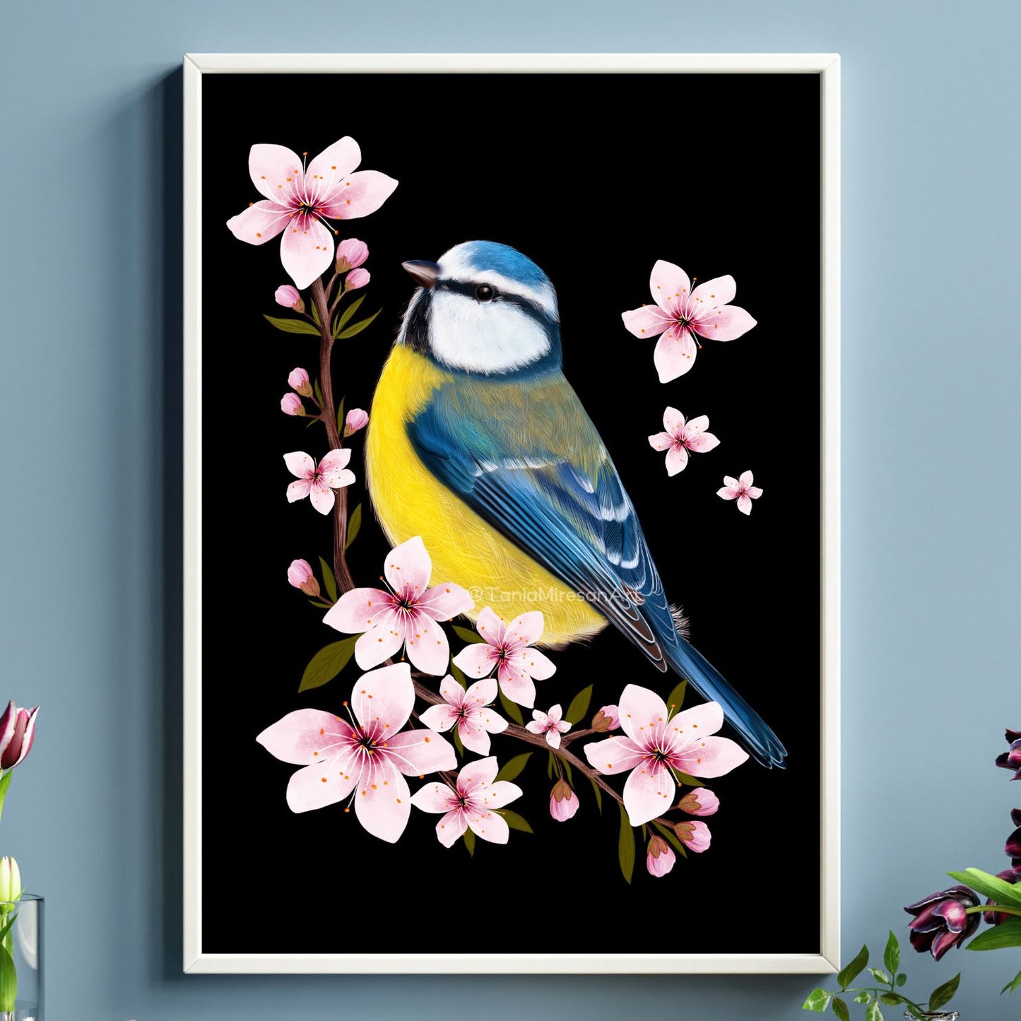 Blue Tit and Cherry Blossom Fine Art Print