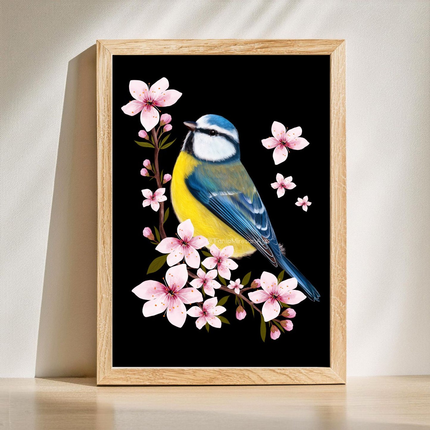 Blue Tit and Cherry Blossom Fine Art Print