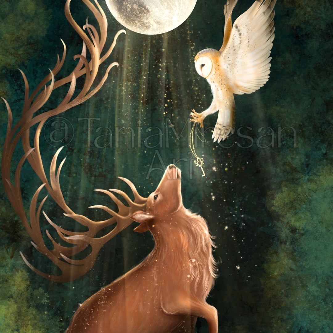 Full Buck Moon 2026 Fine Art Print