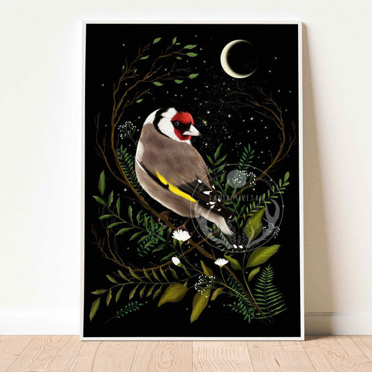 Goldfinch Fine Art Print