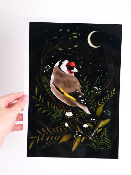 Goldfinch Glossy Print
