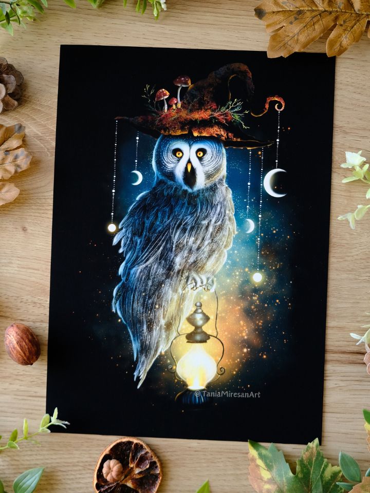 Great Grey Owl Fine Art Print