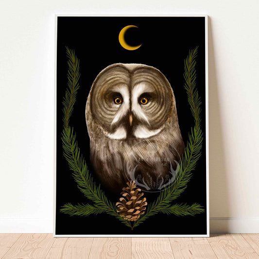 Great Grey Owl and Fir Fine Art Print