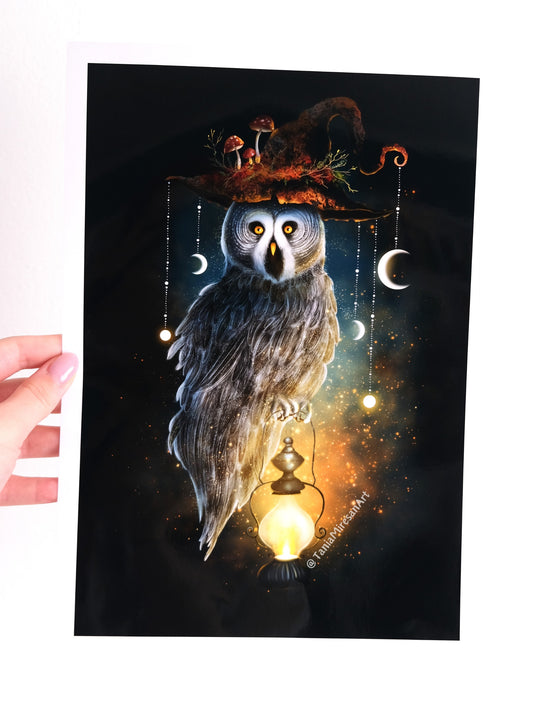 Great Grey Owl Glossy Print