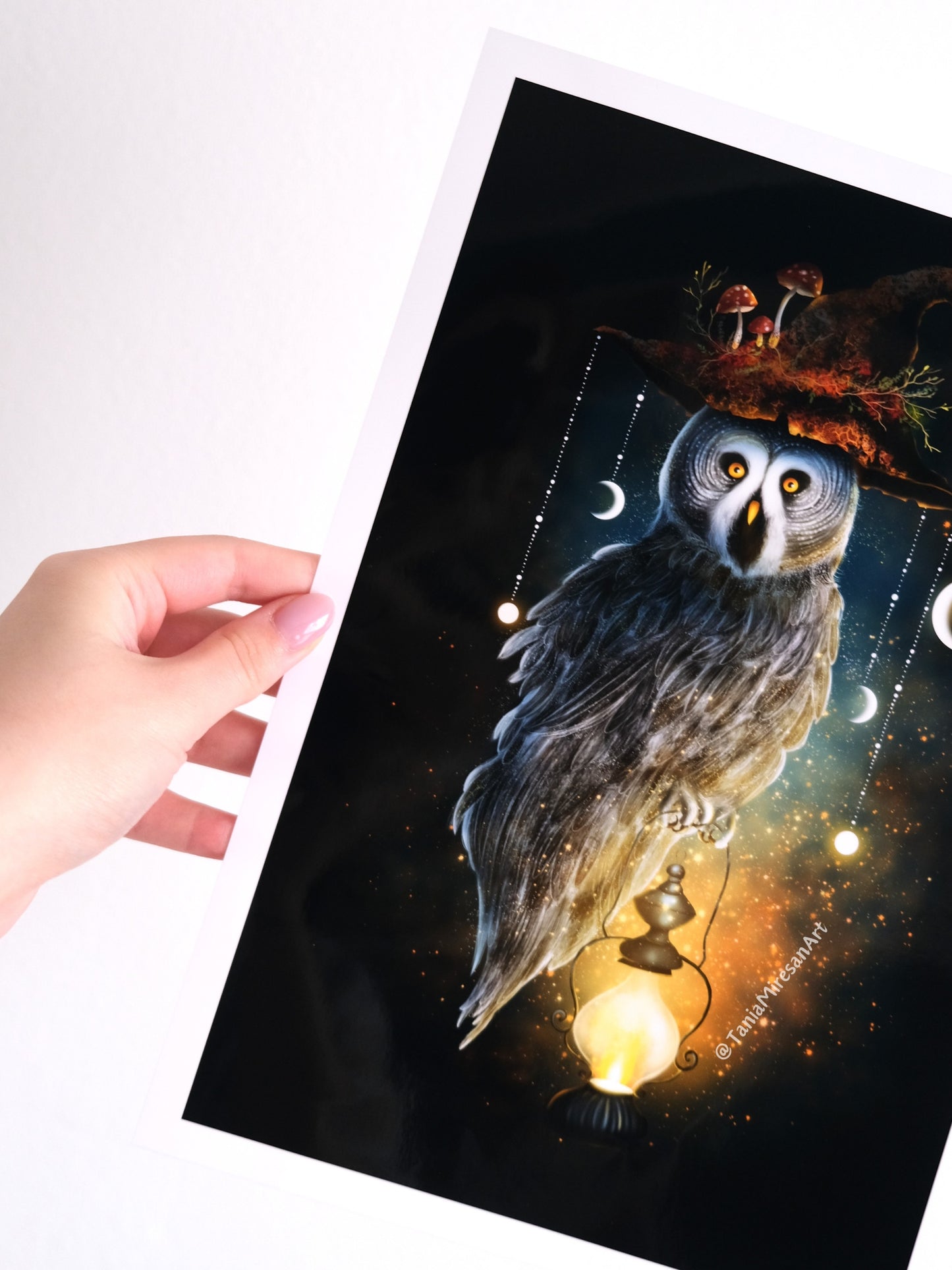 Great Grey Owl Glossy Print