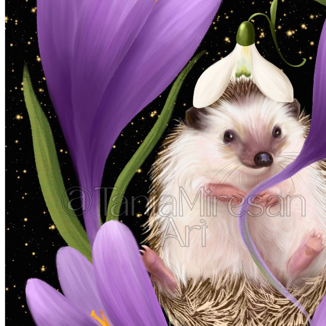 Hedgehog & Crocus Fine Art Print