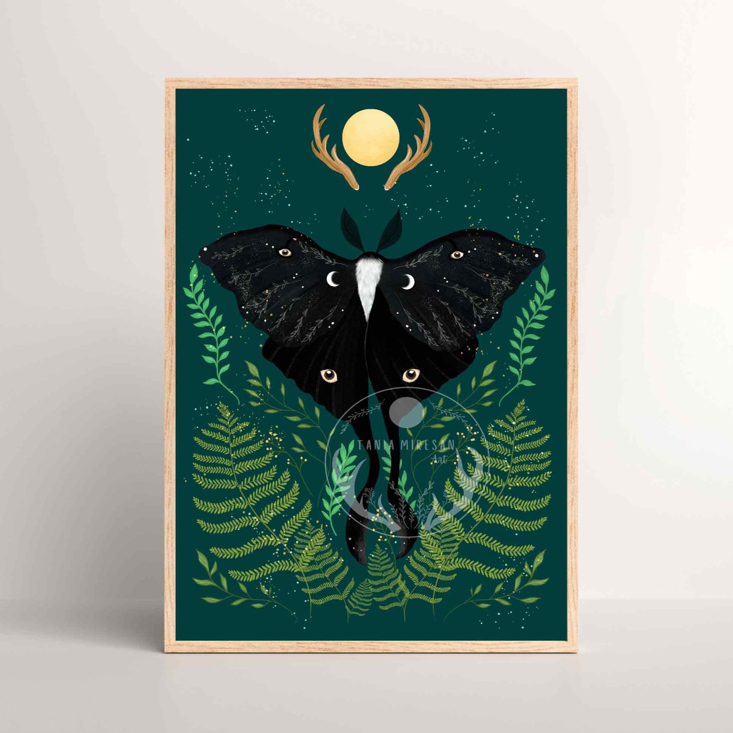 Black Luna Moth Fine Art Print