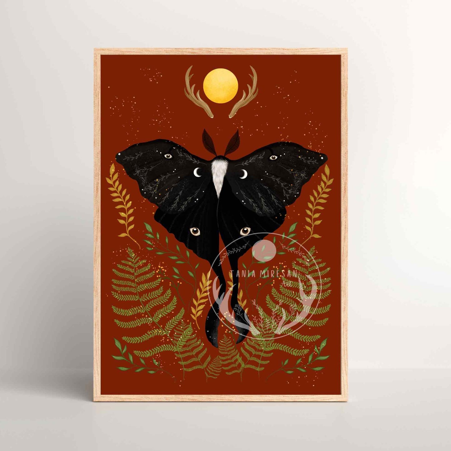 Black Luna Moth Fine Art Print