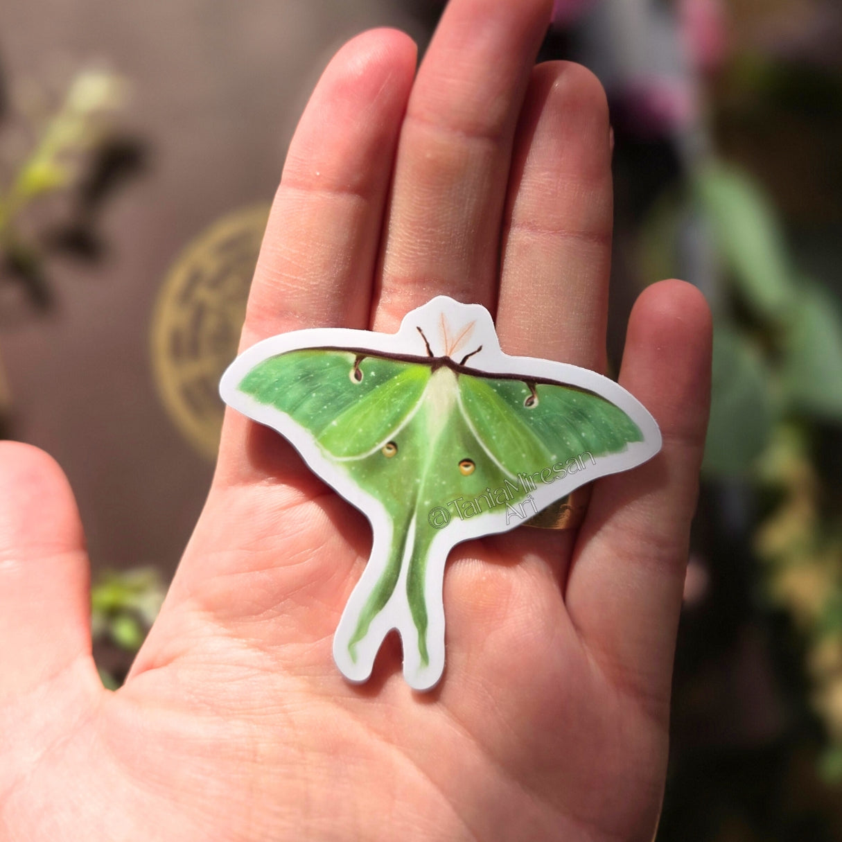 Luna Moth Sticker