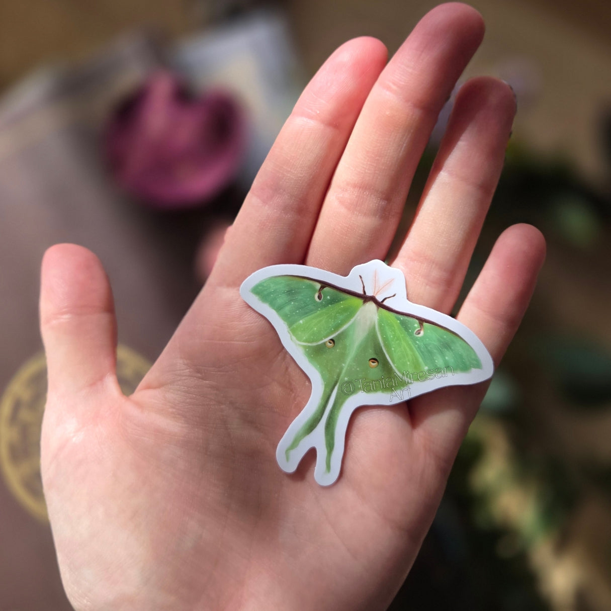 Luna Moth Sticker